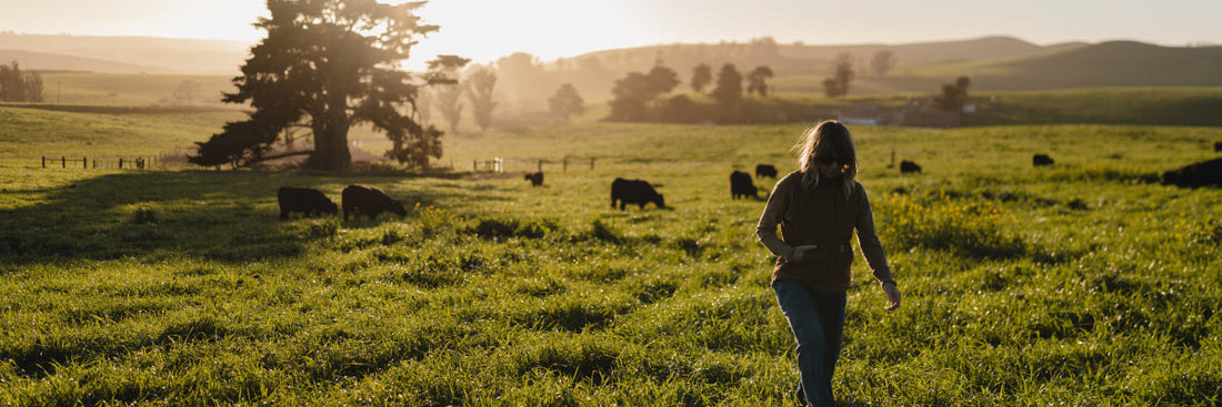 Why Regenerative Agriculture Matters