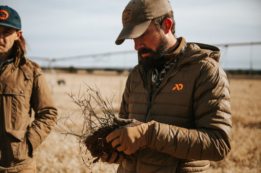 Soil and the Gut: Two Ecosystems with a Deep Connection