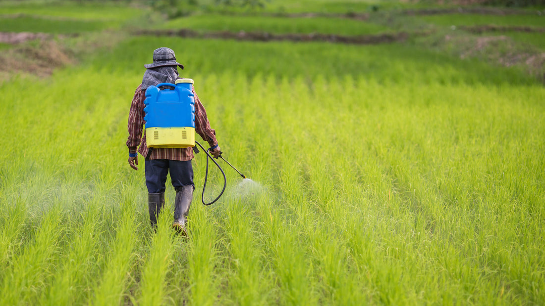 What’s On Your Plate? Probably Glyphosate.