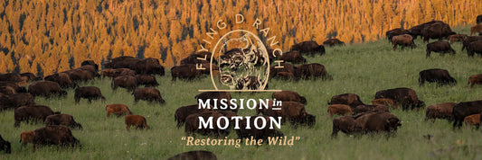 Mission in Motion: Restoring The Wild at The Flying D Ranch