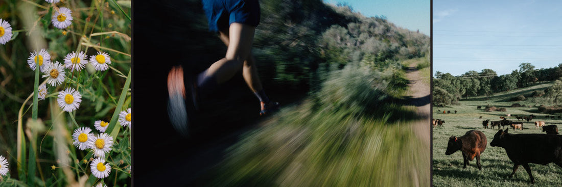Spring is Movement