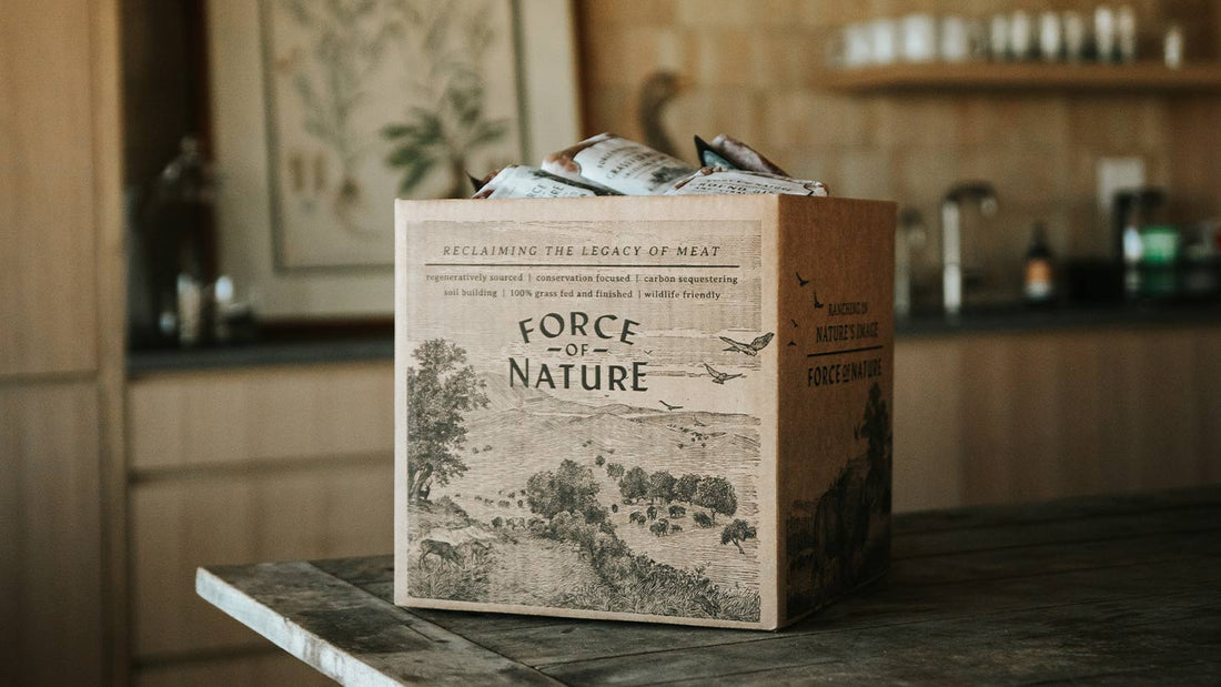 CREATIVE WAYS TO REUSE YOUR BOX