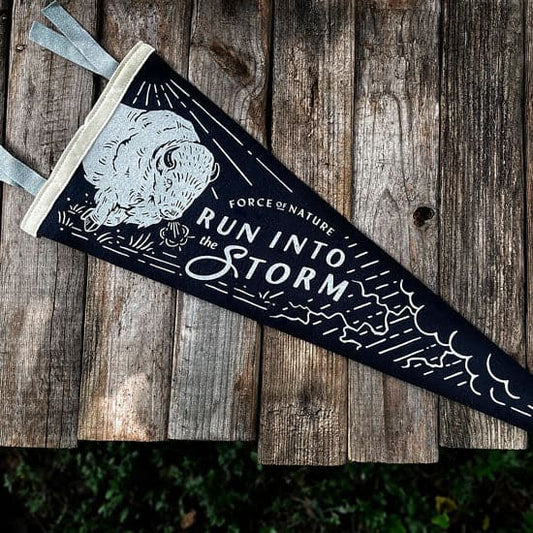 Into the Storm Pennant Flag